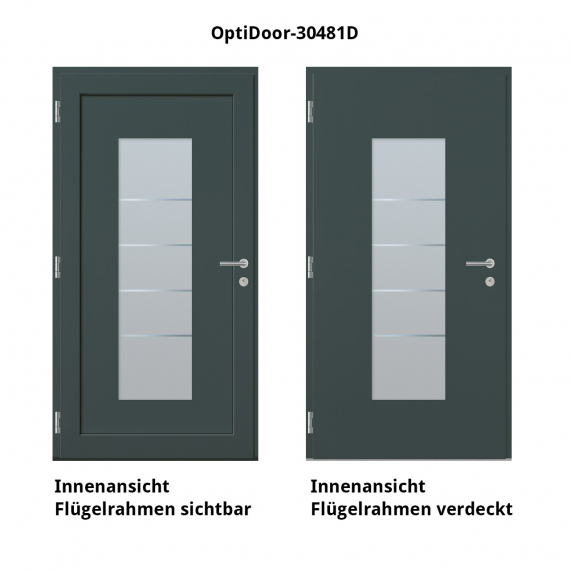 Haustür Aluminium RC2 OptiDoor Design 30481D DB 703