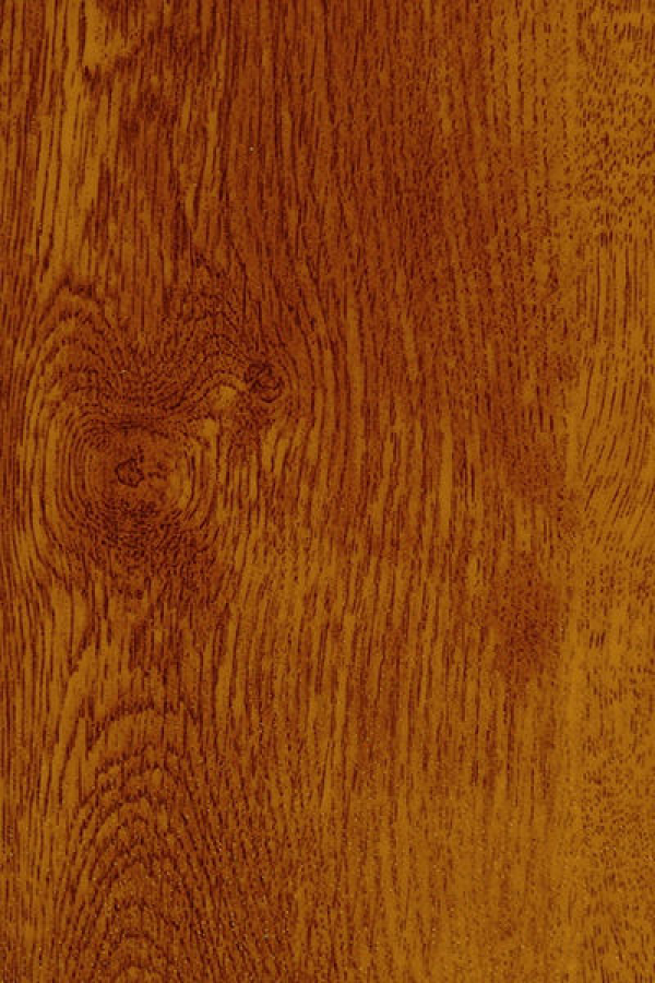 Haustür Kunststoff SecuDoor Exclusiv 10859E Golden Oak